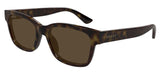 Gucci GG1716S Sunglasses - Havana / Brown