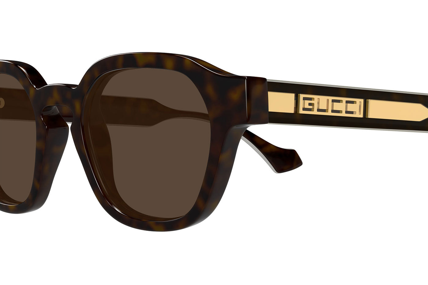 Gucci GG1730S Sunglasses - Havana / Yellow / Brown