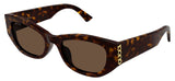 Gucci GG2044SA Sunglasses - Havana / Brown