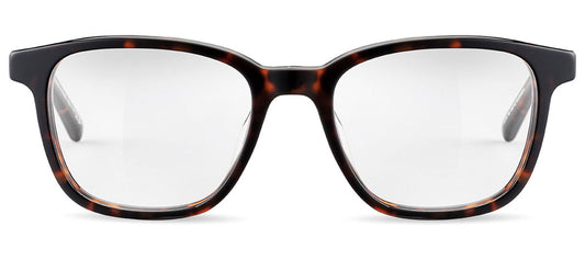 Bolle Jasp 02 Glasses - Havana Shiny