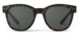 IZIPIZI #N Sunglasses - Tortoise / Grey