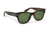 Off-White OERI107 Moab Sunglasses - Havana / Green