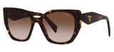 Prada PR 19ZS Sunglasses - Tortoise / Brown Gradient