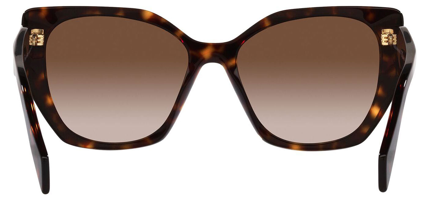 Prada PR 19ZS Sunglasses - Tortoise / Brown Gradient