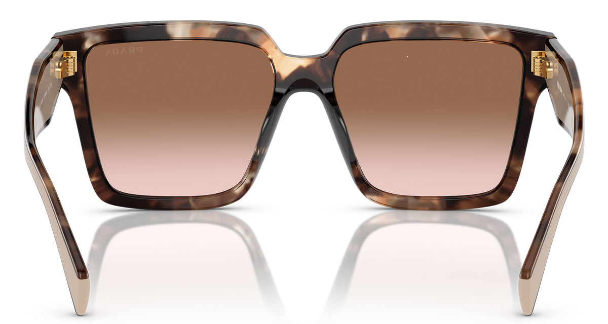 Prada PR 24ZS Sunglasses - Caramel Tortoise / Brown Gradient