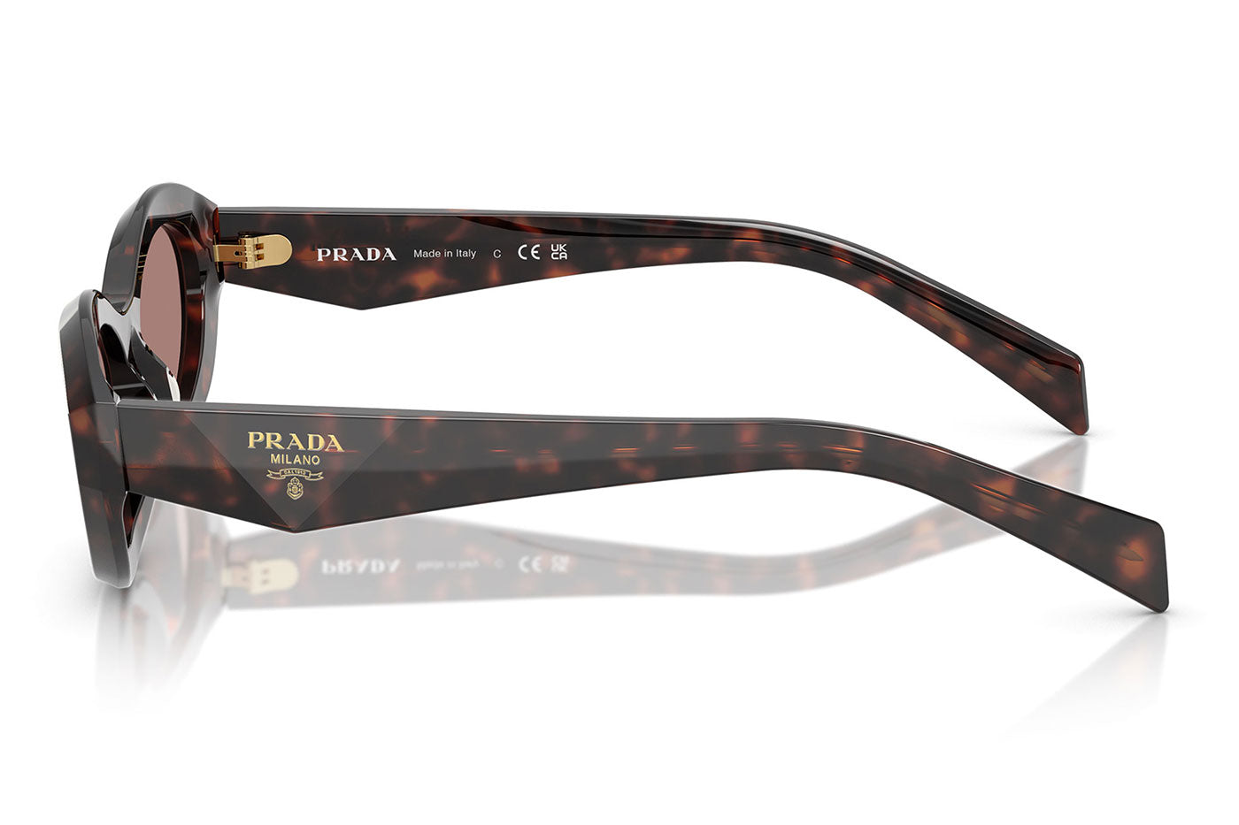 Prada PR 26ZS Sunglasses - Root Tortoise / Light Brown
