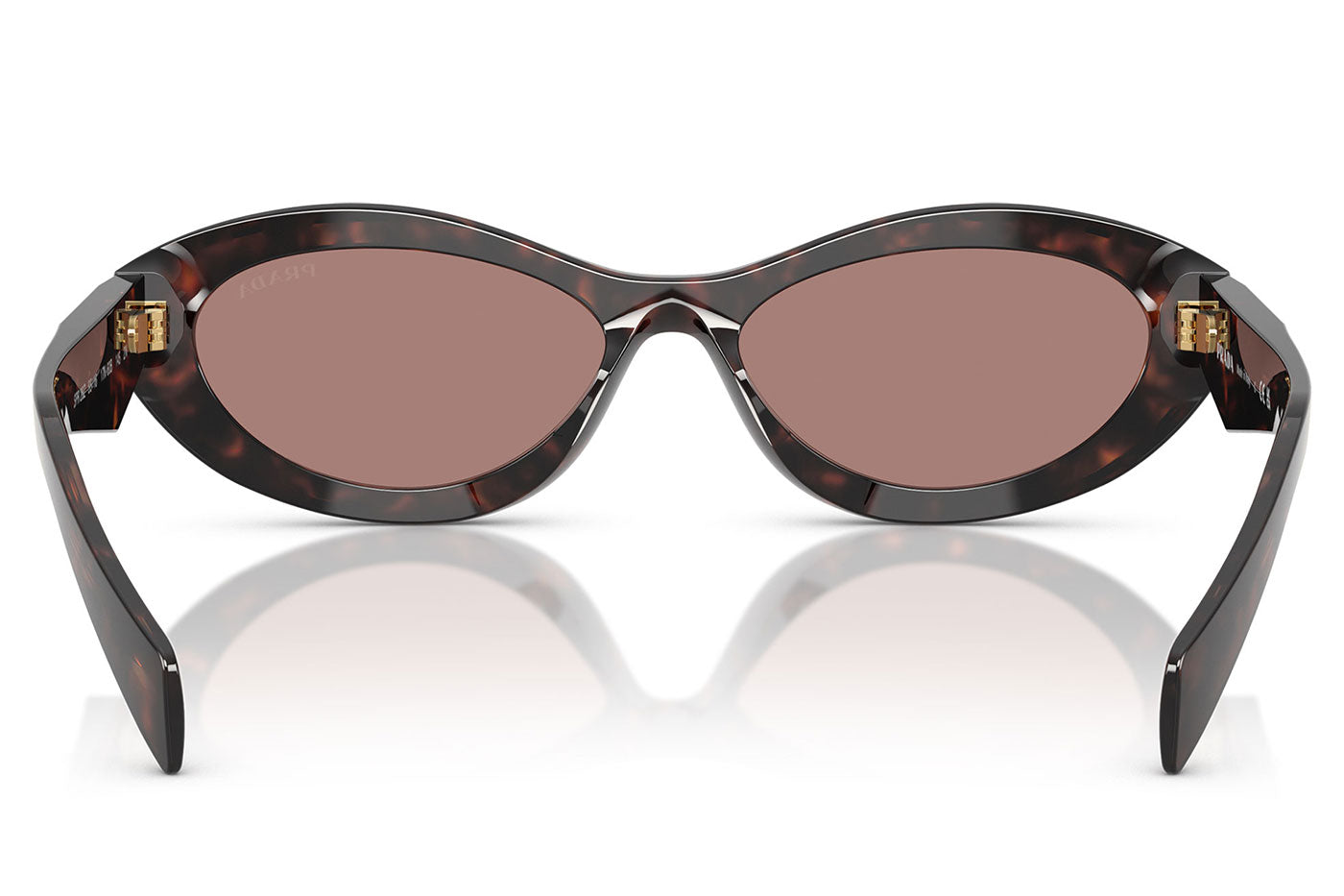 Prada PR 26ZS Sunglasses - Root Tortoise / Light Brown