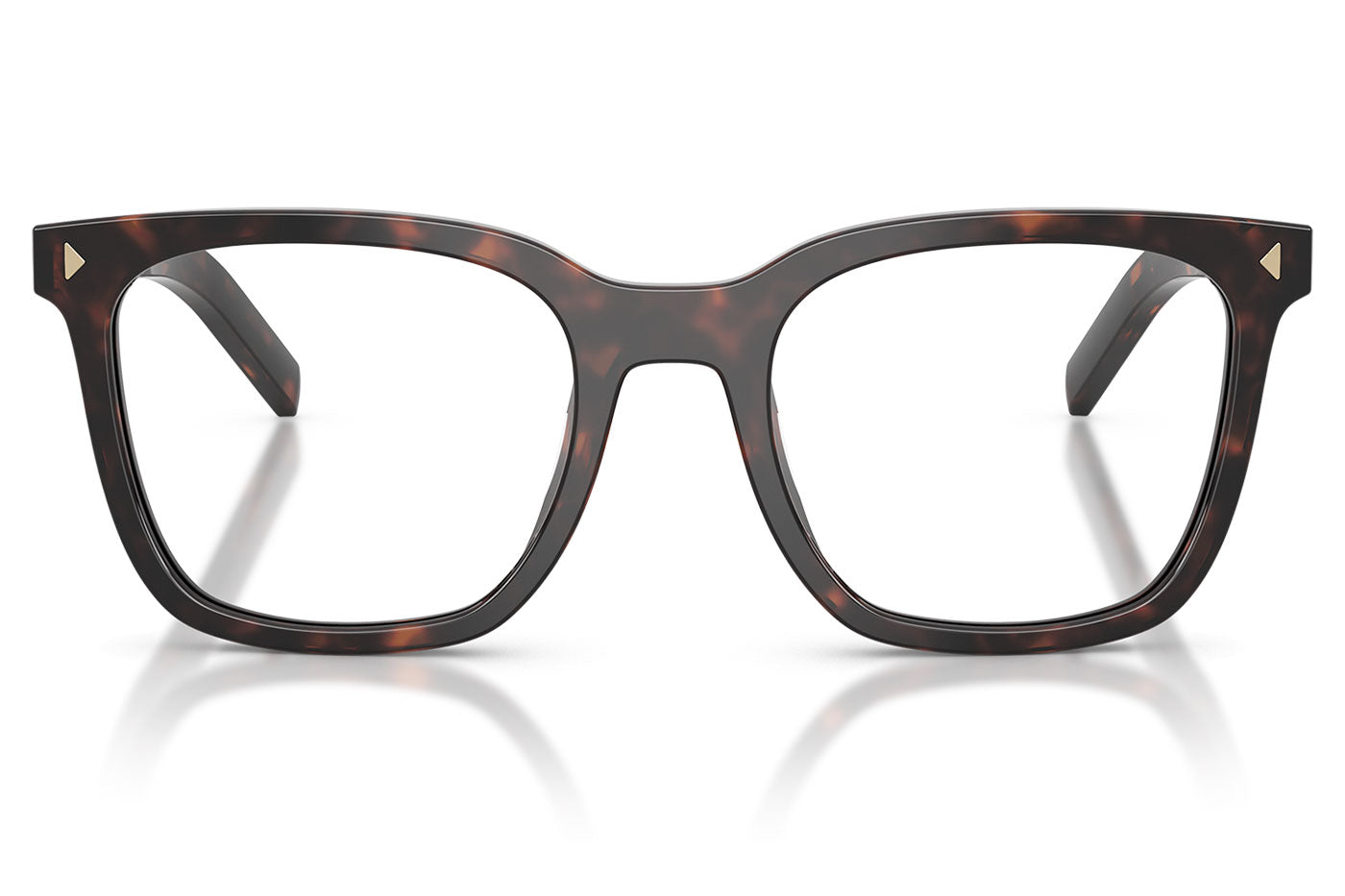 Prada PR B11V Glasses - Root Tortoise