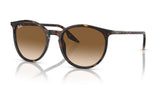 Ray-Ban RB2204 Sunglasses - Havana / Light Brown