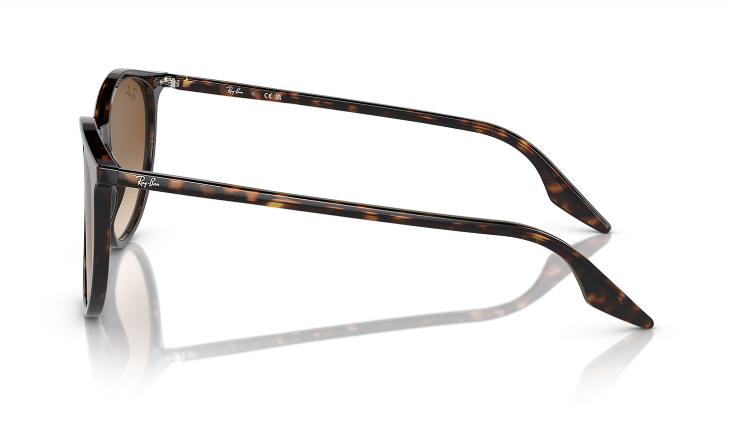 Ray-Ban RB2204 Sunglasses - Havana / Light Brown