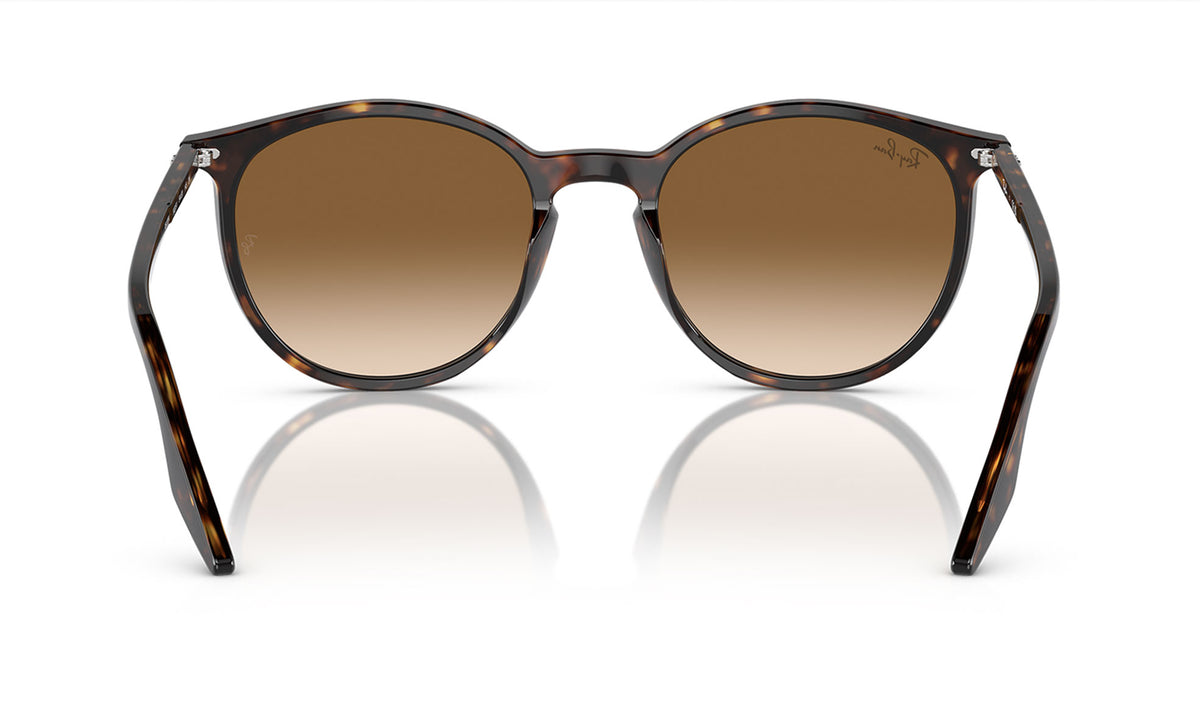 Ray-Ban RB2204 Sunglasses - Havana / Light Brown