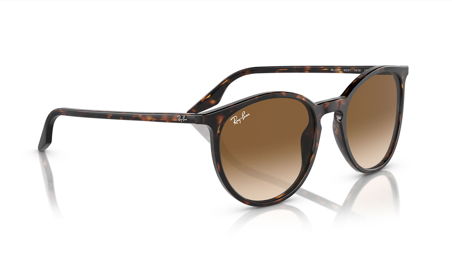 Ray-Ban RB2204 Sunglasses - Havana / Light Brown