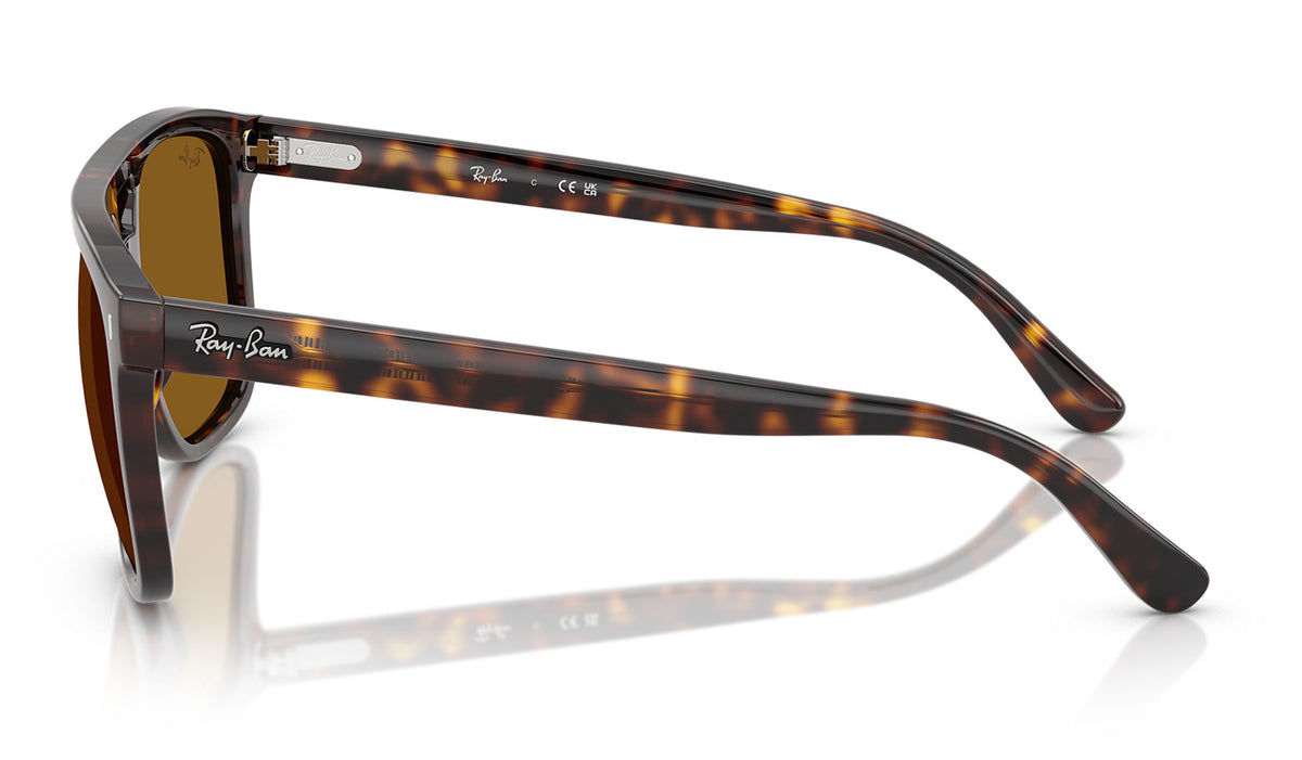Ray-Ban RB2213 Sunglasses - Havana / Brown
