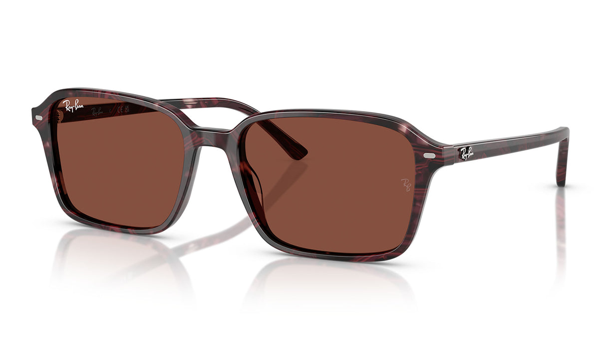 Ray-Ban RB2231 Raimond Sunglasses - Transparent Fantasy Violet & Red / Red