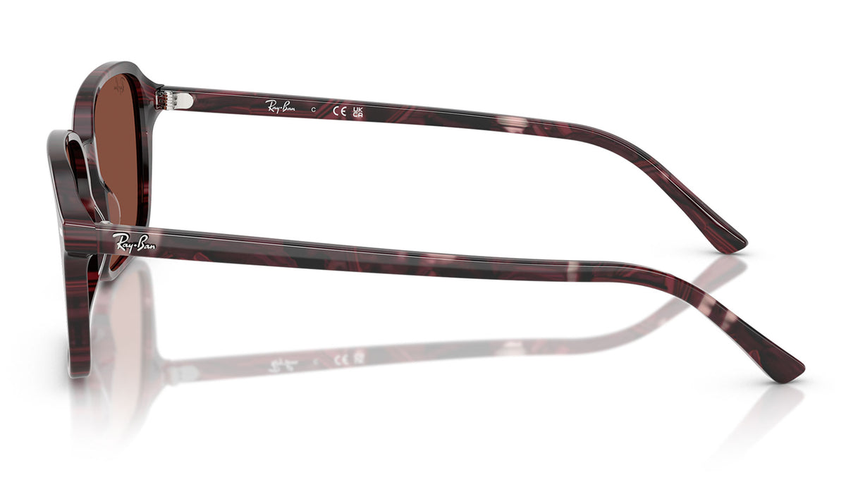 Ray-Ban RB2231 Raimond Sunglasses - Transparent Fantasy Violet & Red / Red
