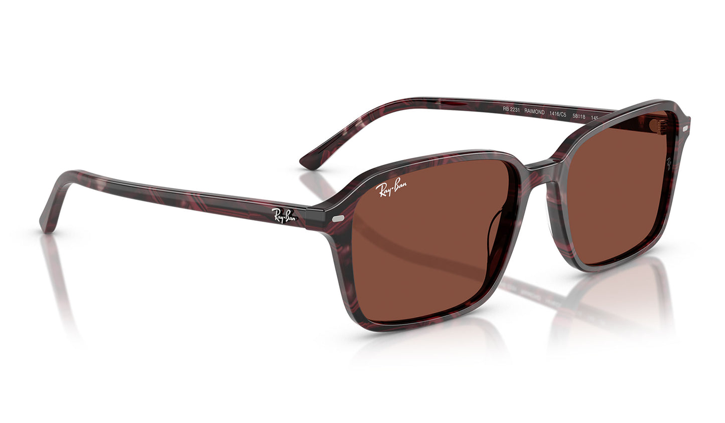 Ray-Ban RB2231 Raimond Sunglasses - Transparent Fantasy Violet & Red / Red