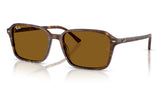 Ray-Ban RB2231 Raimond Sunglasses - Transparent Fantasy Brown / Brown