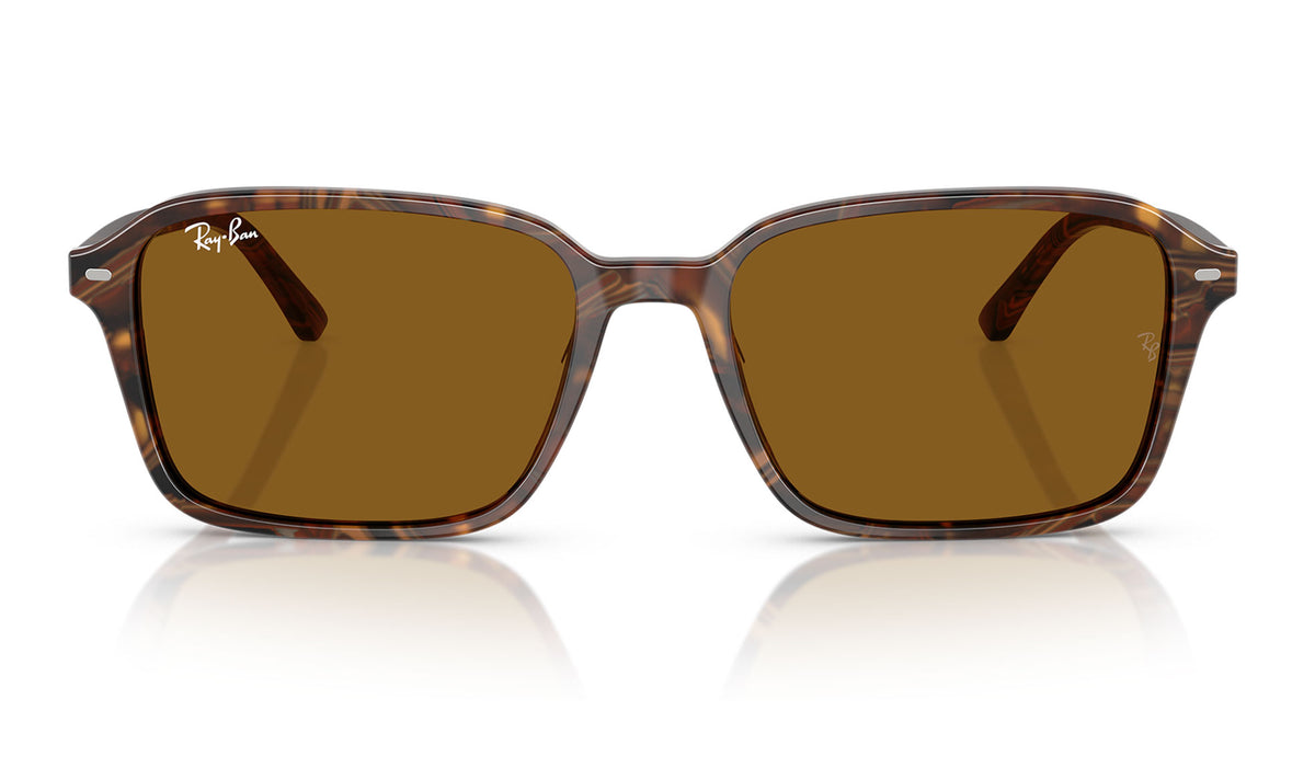 Ray-Ban RB2231 Raimond Sunglasses - Transparent Fantasy Brown / Brown