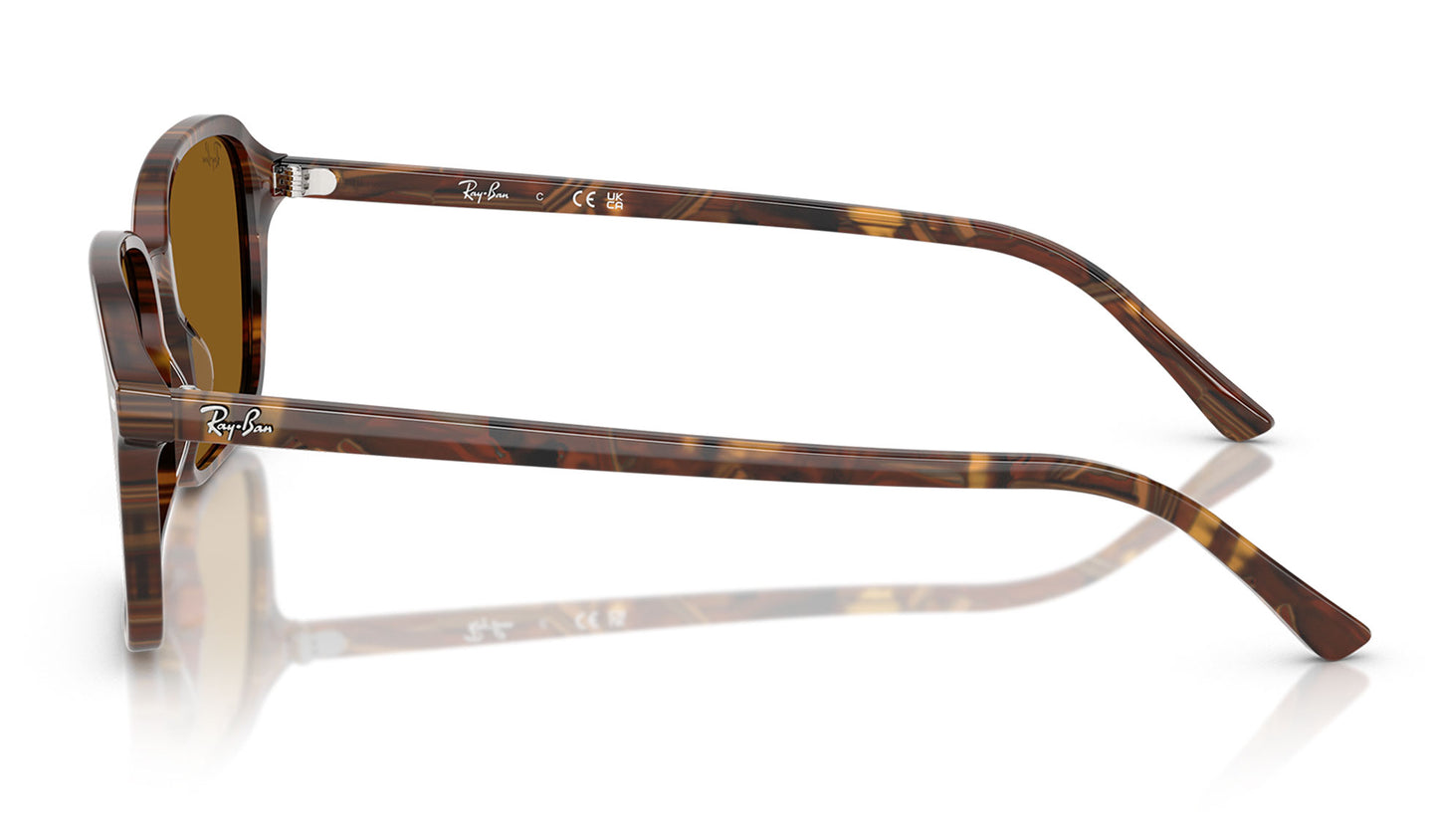 Ray-Ban RB2231 Raimond Sunglasses - Transparent Fantasy Brown / Brown