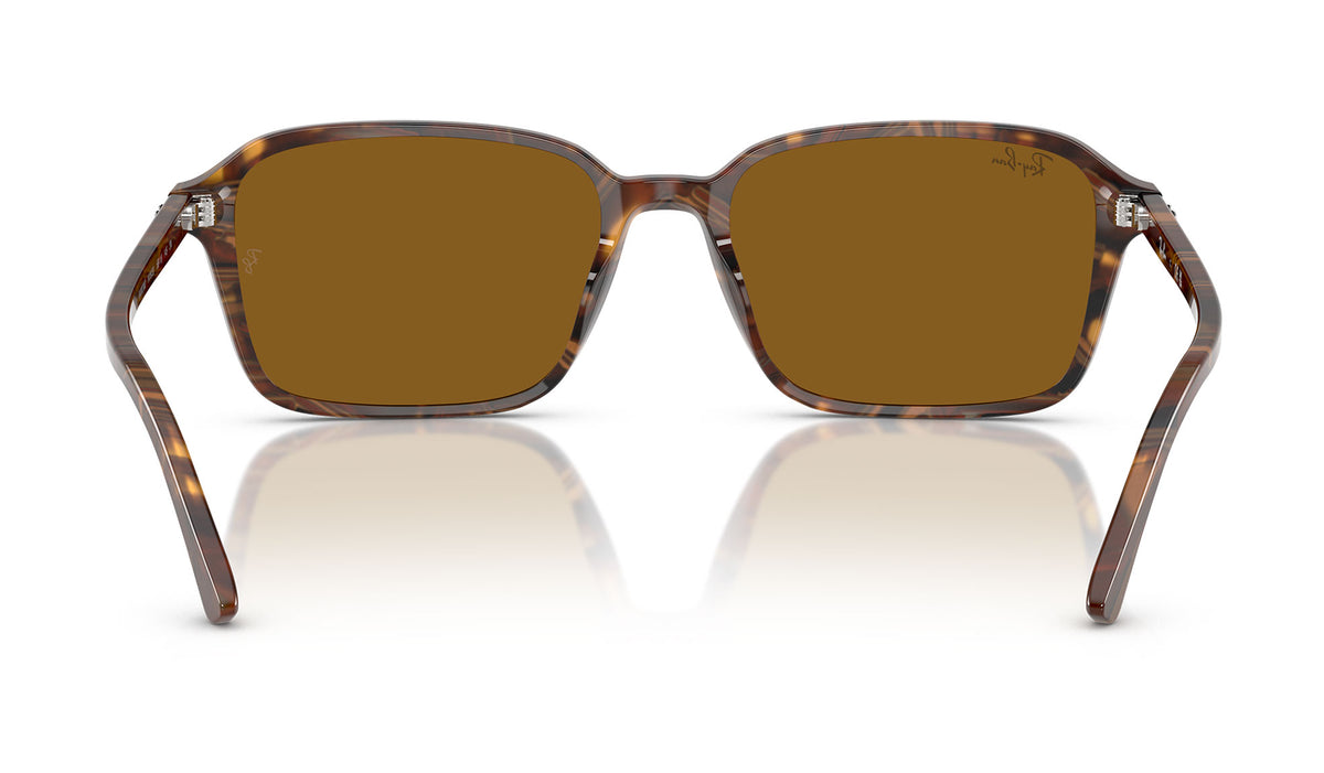 Ray-Ban RB2231 Raimond Sunglasses - Transparent Fantasy Brown / Brown