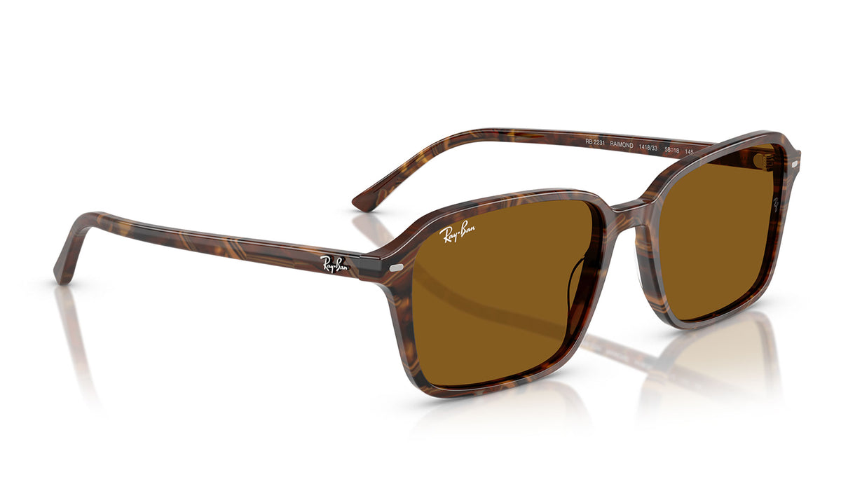 Ray-Ban RB2231 Raimond Sunglasses - Transparent Fantasy Brown / Brown