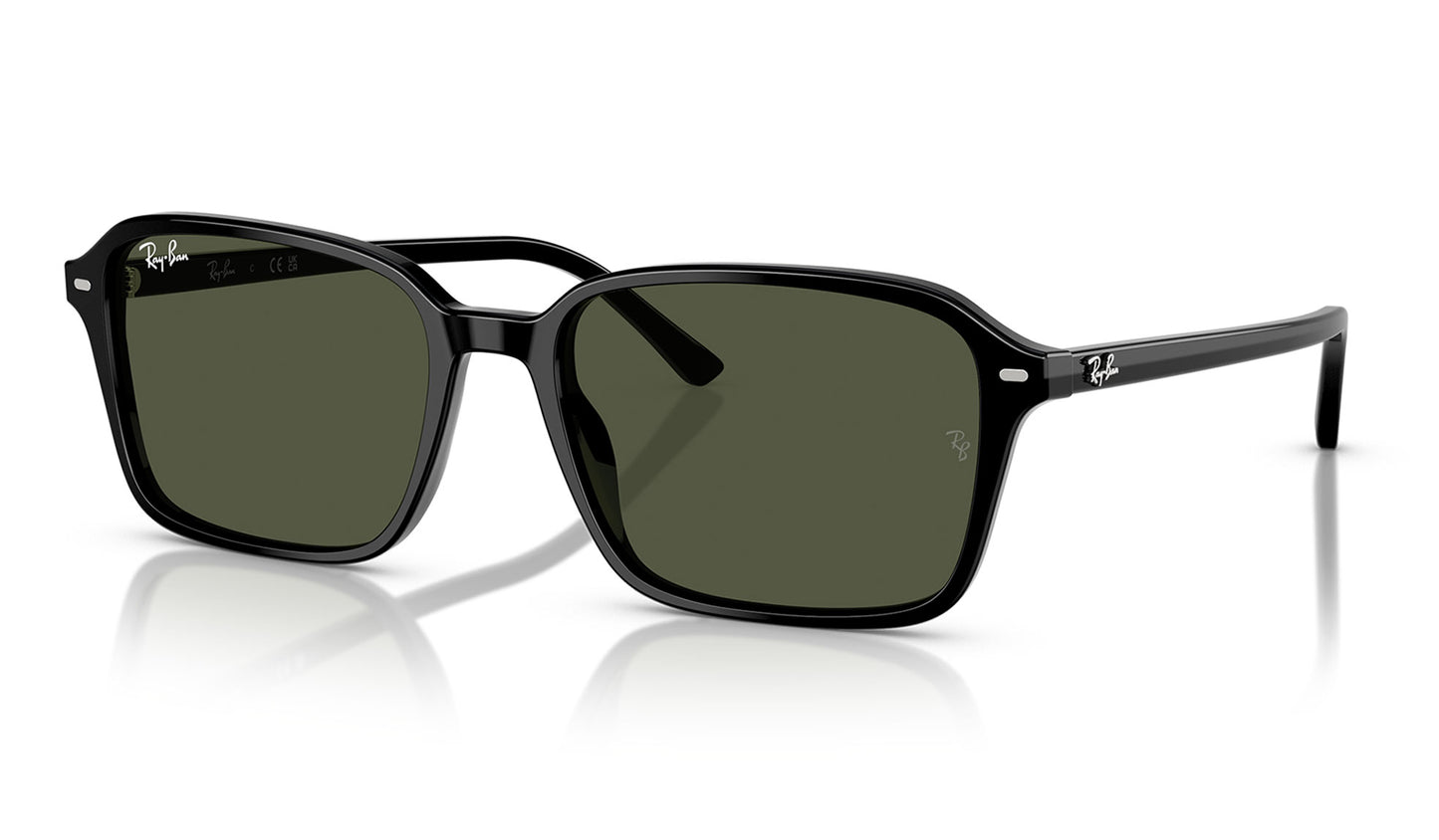 Ray-Ban RB2231 Raimond Sunglasses - Black / Green