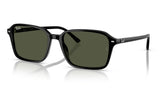 Ray-Ban RB2231 Raimond Sunglasses - Black / Green