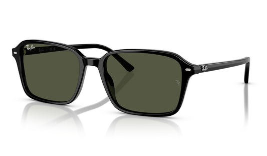 Ray-Ban RB2231 Raimond Sunglasses - Black / Green