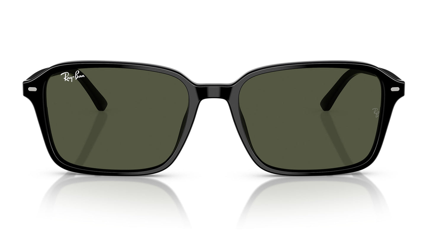 Ray-Ban RB2231 Raimond Sunglasses - Black / Green