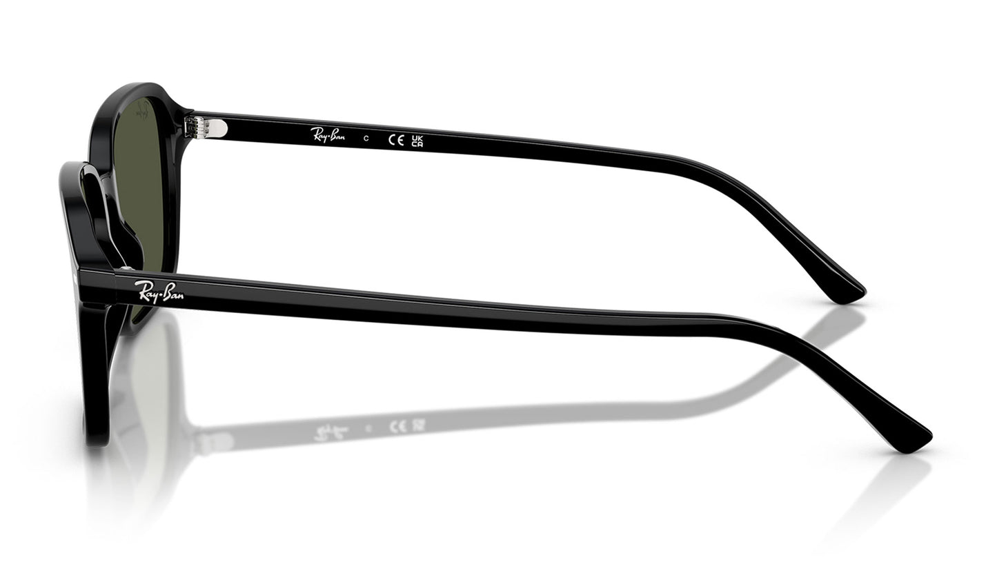 Ray-Ban RB2231 Raimond Sunglasses - Black / Green