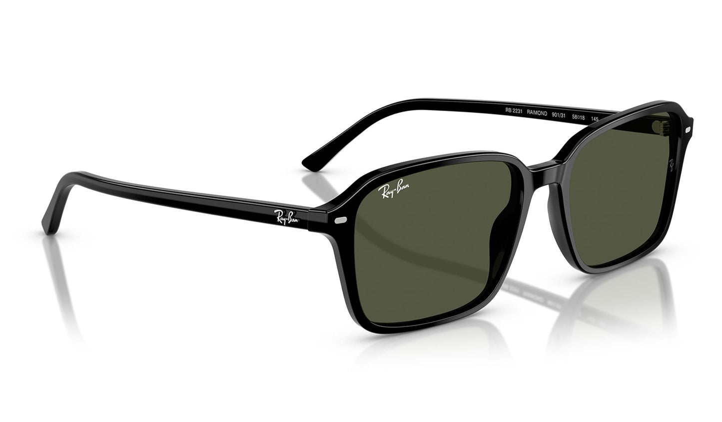 Ray-Ban RB2231 Raimond Sunglasses - Black / Green