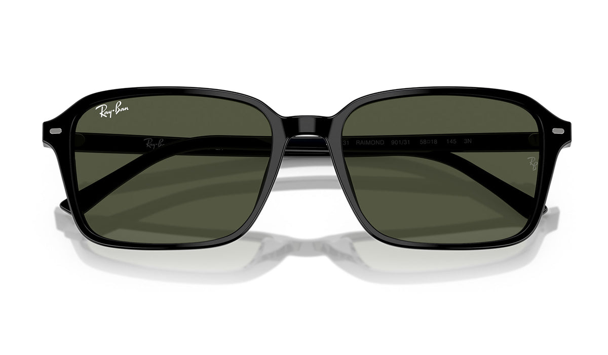 Ray-Ban RB2231 Raimond Sunglasses - Black / Green