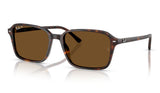 Ray-Ban RB2231 Raimond Sunglasses - Havana / Brown Polarised