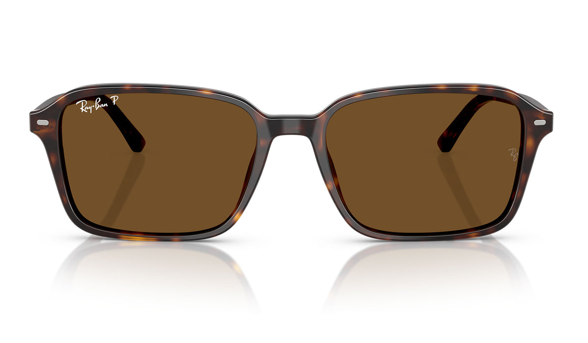 Ray-Ban RB2231 Raimond Sunglasses - Havana / Brown Polarised