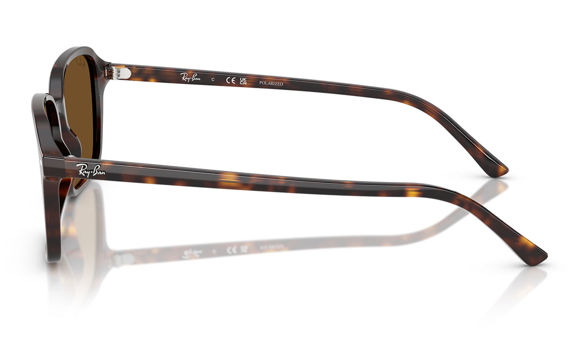 Ray-Ban RB2231 Raimond Sunglasses - Havana / Brown Polarised