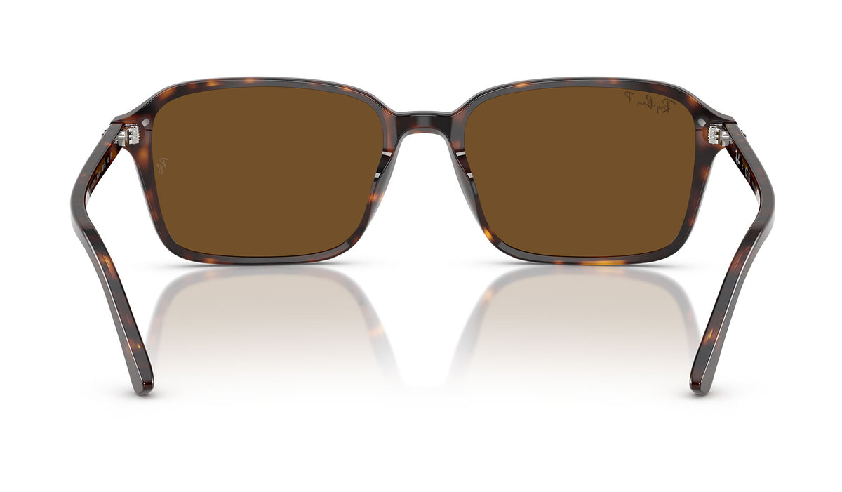 Ray-Ban RB2231 Raimond Sunglasses - Havana / Brown Polarised