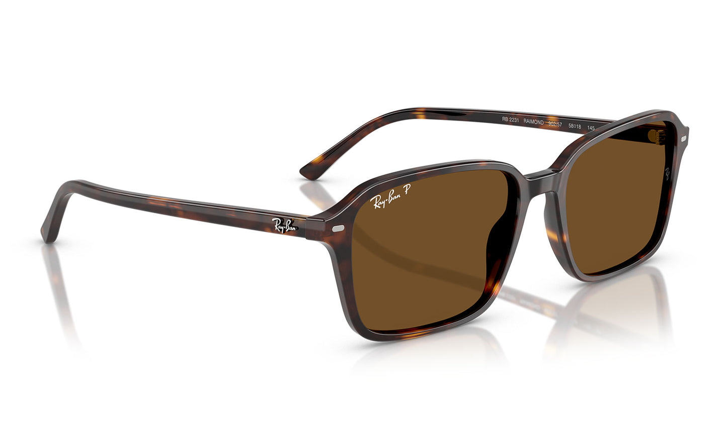 Ray-Ban RB2231 Raimond Sunglasses - Havana / Brown Polarised