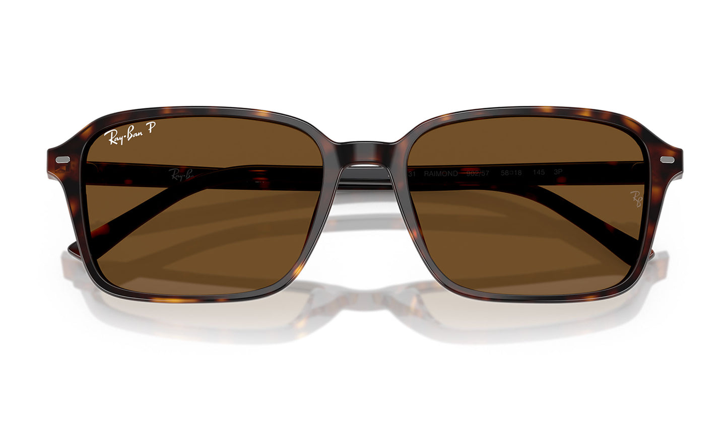 Ray-Ban RB2231 Raimond Sunglasses - Havana / Brown Polarised