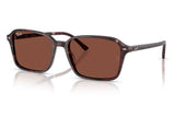 Ray-Ban RB2231 Raimond Sunglasses - Transparent Fantasy Violet & Red / Red