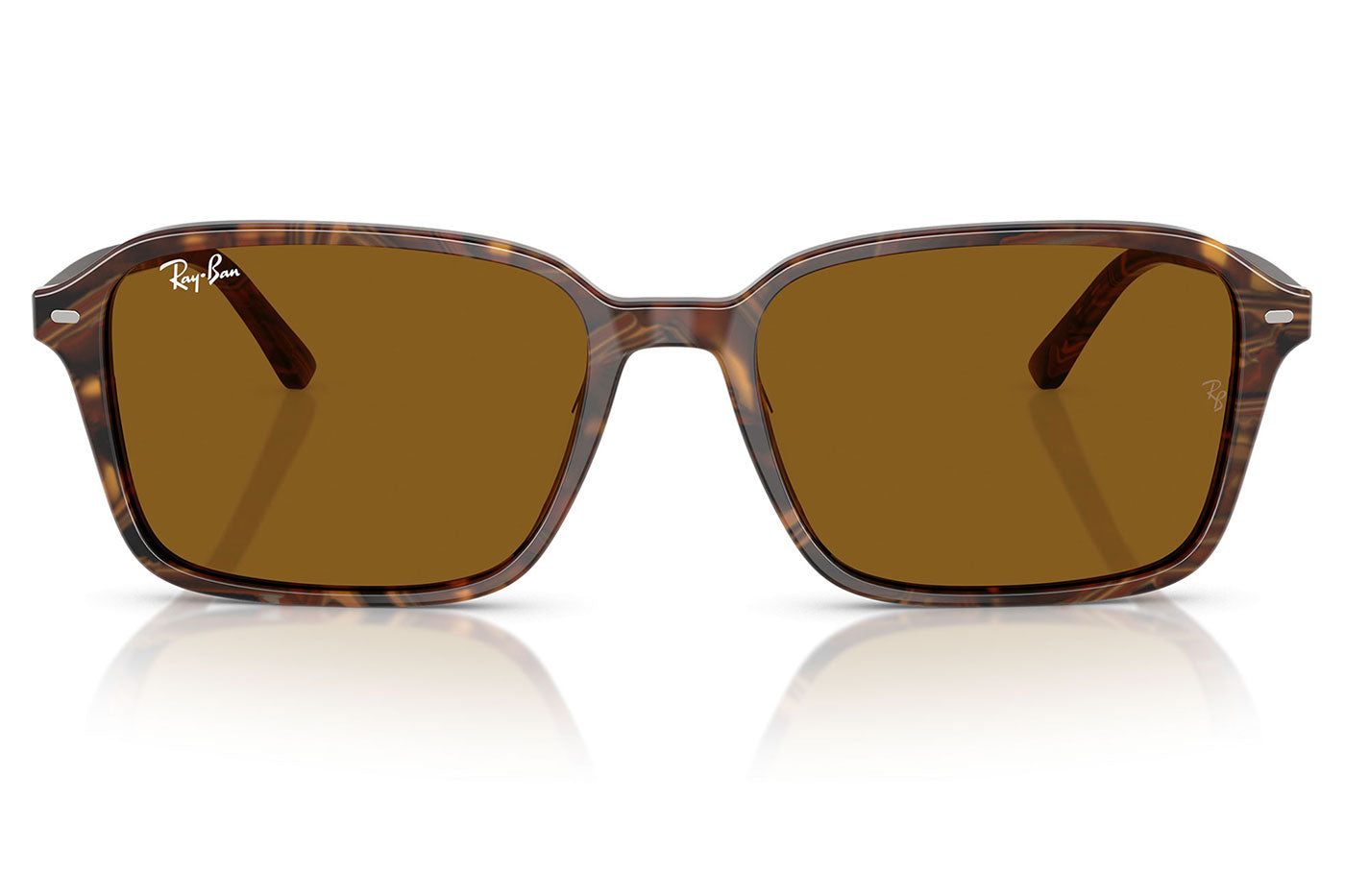 Ray-Ban RB2231 Raimond Sunglasses - Transparent Fantasy Brown / Brown