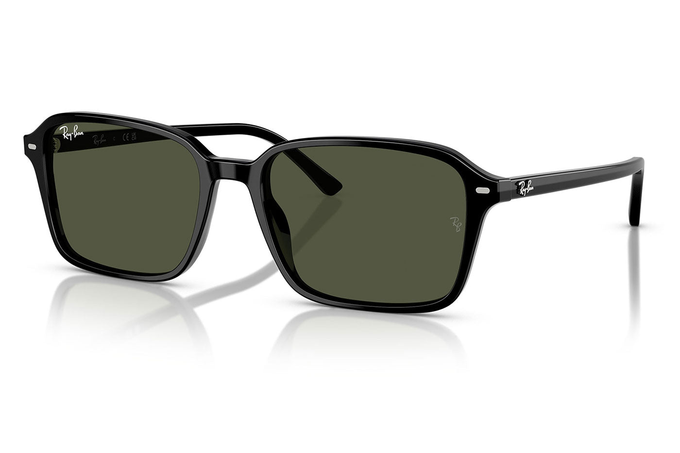 Ray-Ban RB2231 Raimond Sunglasses - Black / Green