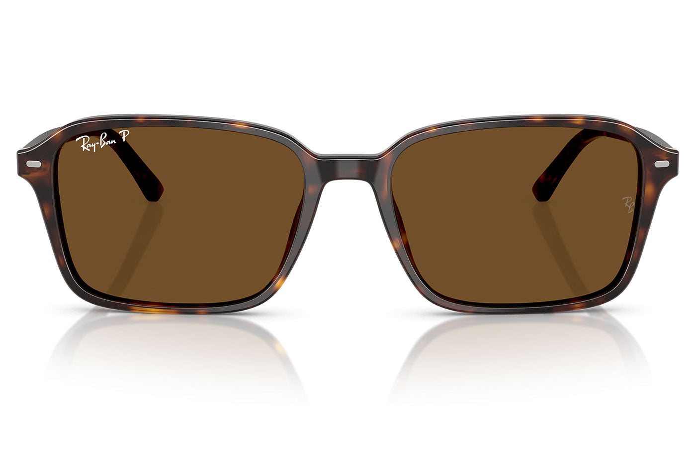 Ray-Ban RB2231 Raimond Sunglasses - Havana / Brown