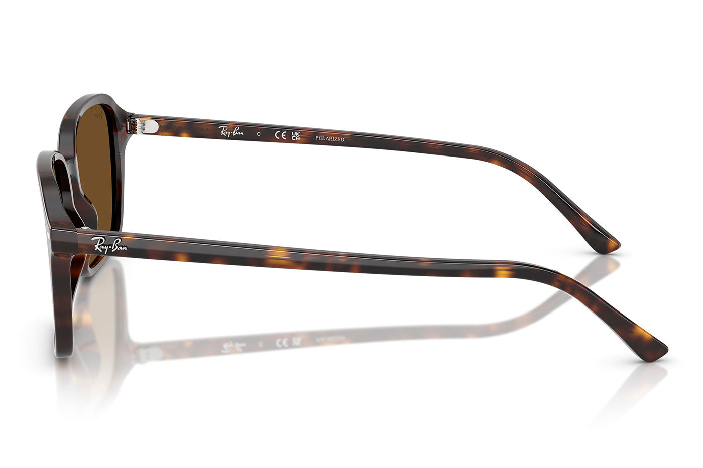 Ray-Ban RB2231 Raimond Sunglasses - Havana / Brown