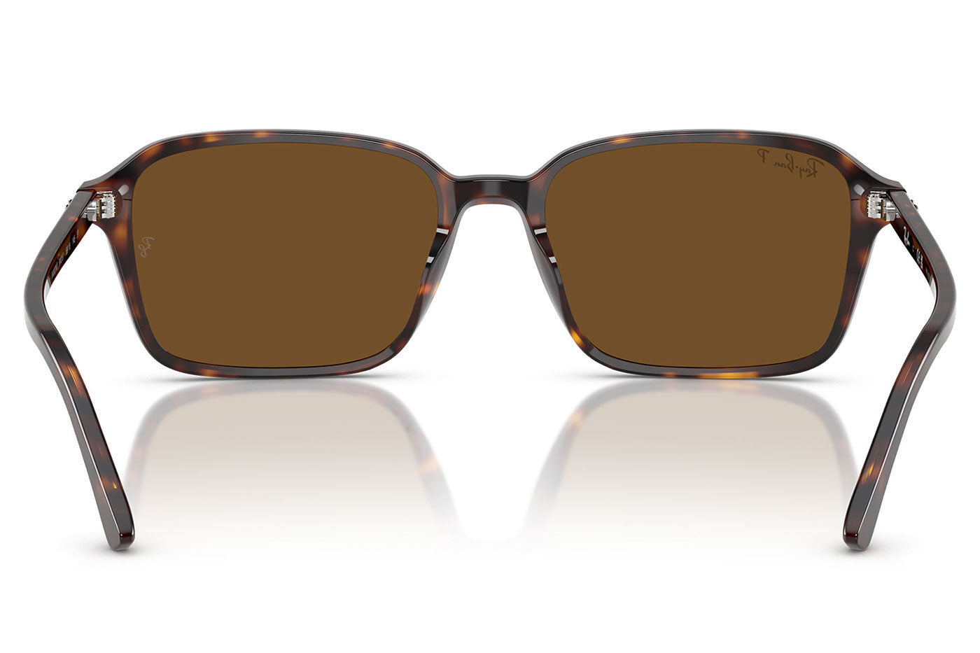 Ray-Ban RB2231 Raimond Sunglasses - Havana / Brown