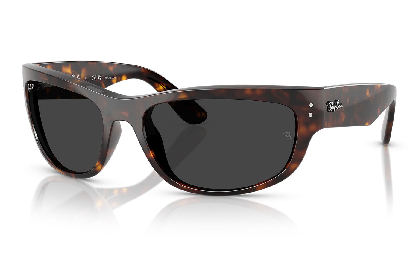 Ray-Ban RB2289 Mega Balorama Sunglasses - Havana / Polar Black