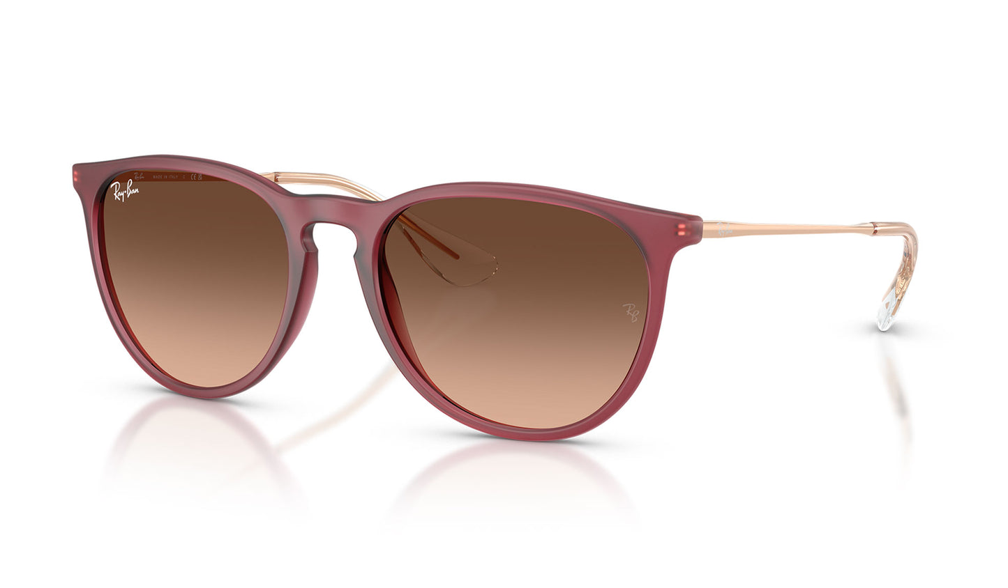 Ray-Ban RB4171 Erika Sunglasses - Rubber Violet / Pink Gradient Brown
