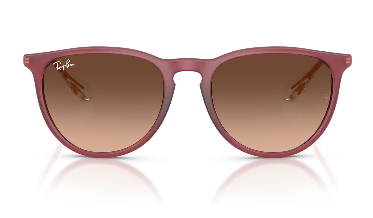 Ray-Ban RB4171 Erika Sunglasses - Rubber Violet / Pink Gradient Brown