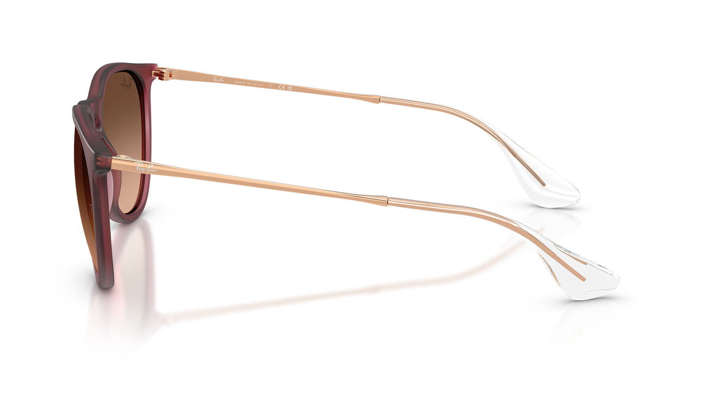 Ray-Ban RB4171 Erika Sunglasses - Rubber Violet / Pink Gradient Brown