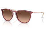 Ray-Ban RB4171 Erika Sunglasses - Rubber Violet / Pink Gradient Brown