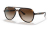 Ray-Ban RB4376 Sunglasses - Havana/ Brown